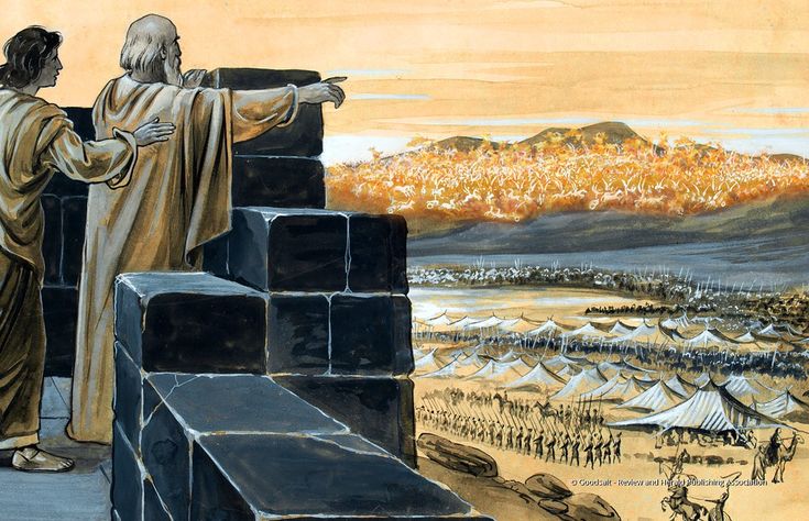 Seeing What God&nbsp;Sees!