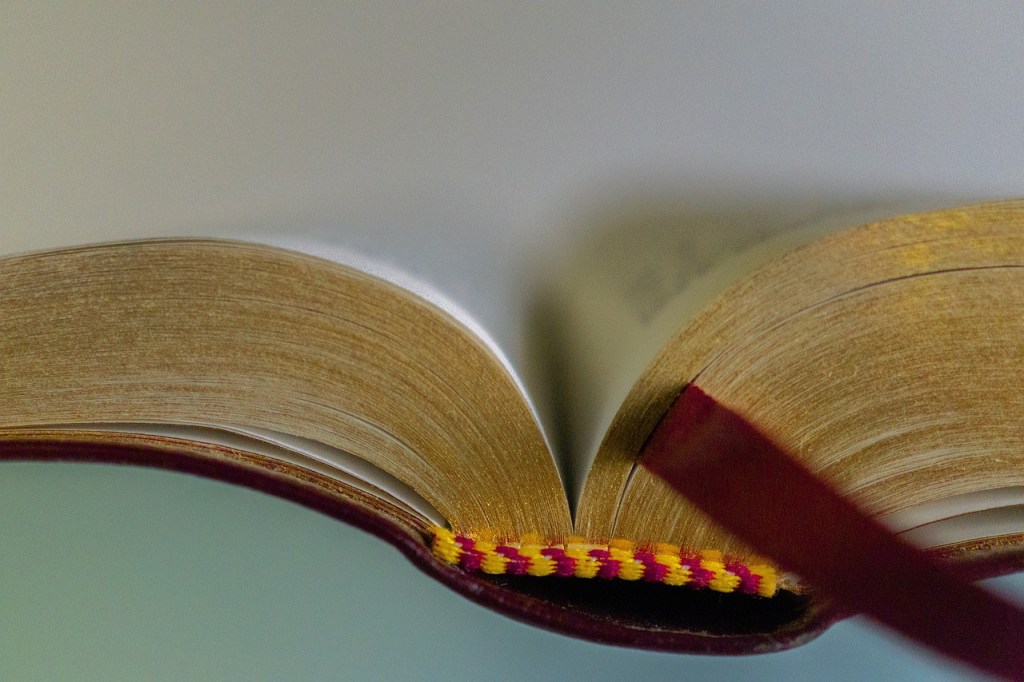 Let’s See Some I.D. Part Eight